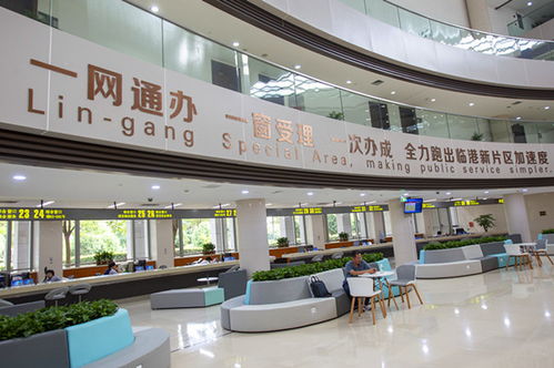 一網(wǎng)通辦 擬建會展統(tǒng)一服務(wù)窗口